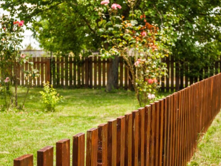 porządek wokół domu